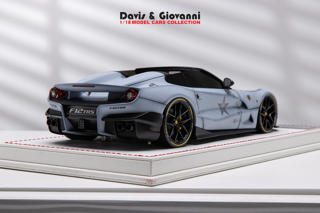 Ferrari F12 TRS (Matt Gray) [Davis & Giovanni] 1/18 scale