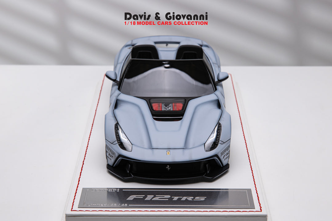 Ferrari F12 TRS (Matt Gray) [Davis & Giovanni] 1/18 scale
