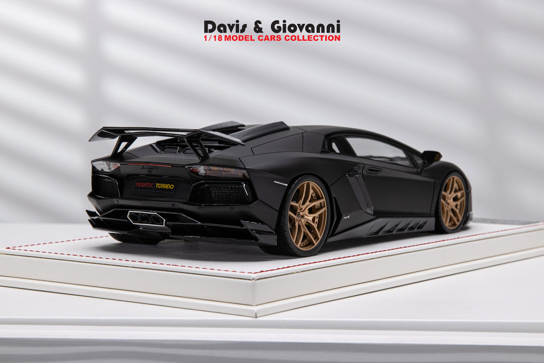 Lamborghini Aventador NOVITEC (Matt Black) [Davis & Giovanni] 1/18 scale 1 of 1