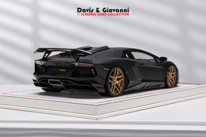 Lamborghini Aventador NOVITEC (Matt Black) [Davis & Giovanni] 1/18 scale 1 of 1